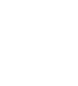 VipMD